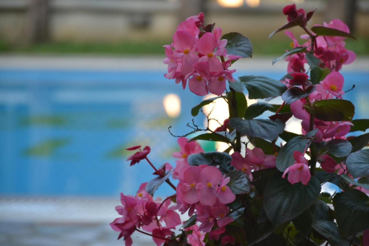 Corfu Hellinis Hotel 卡诺尼 外观 照片